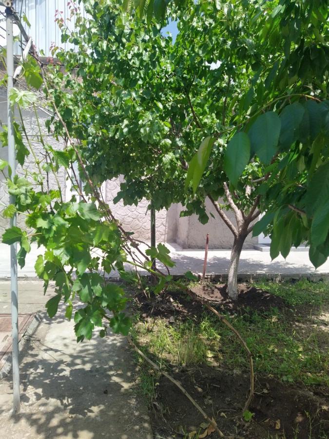 Vanand Guest House Gyumri Esterno foto