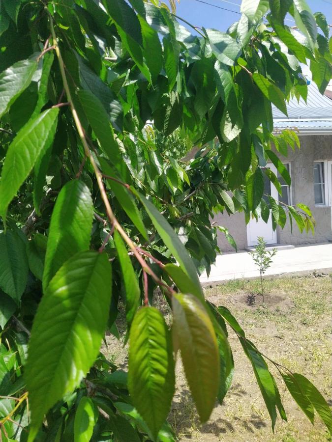 Vanand Guest House Gyumri Esterno foto